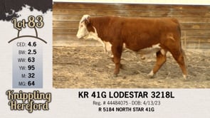 Lot #83 - KR 41G LODESTAR 3218L