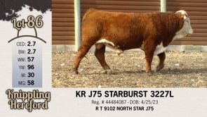 Lot #86 - KR J75 STARBURST 3227L