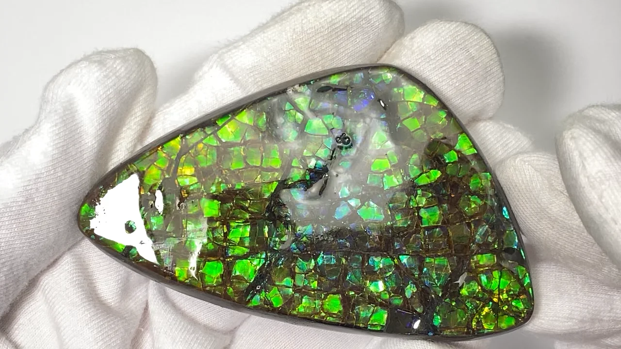 アンモライトプレート アンモライトプレート