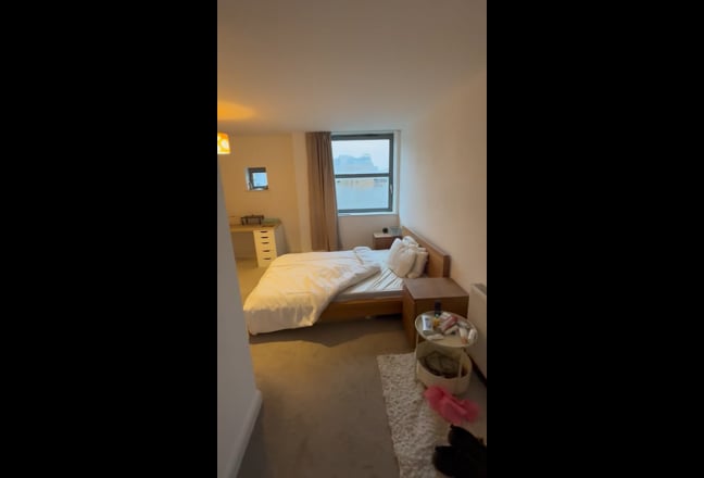 Huge En-Suite Room (E14 Area + Thames Views) Main Photo