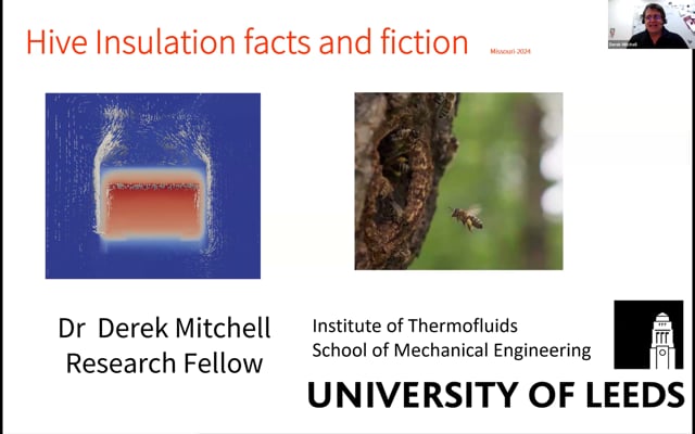 Hive insulation facts and fiction