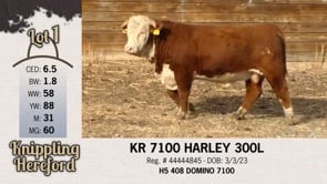 Lot #1 - KR 7100 HARLEY 300L