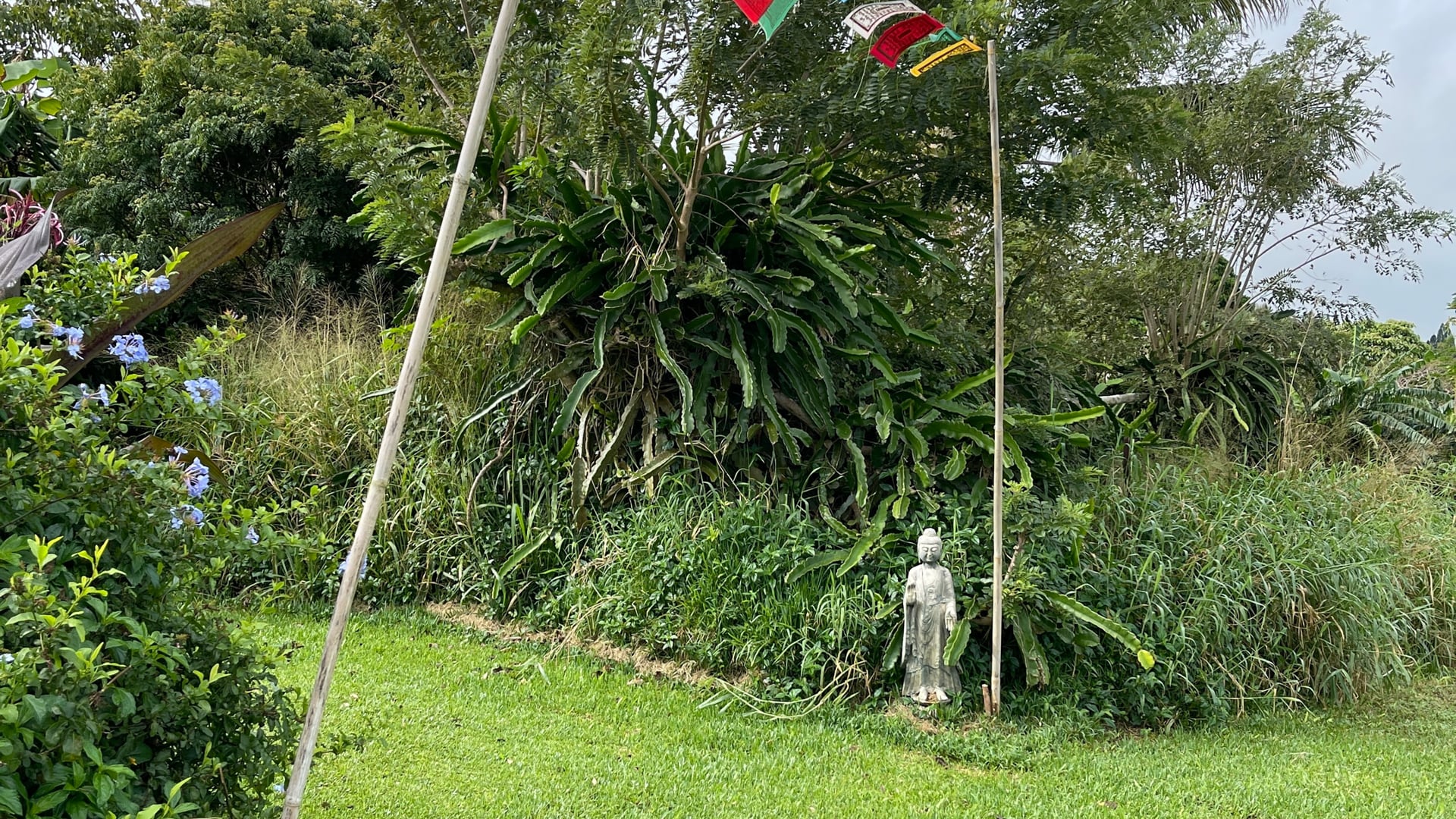 2024 December 4: Moments of Joy: On and Off the Cushion