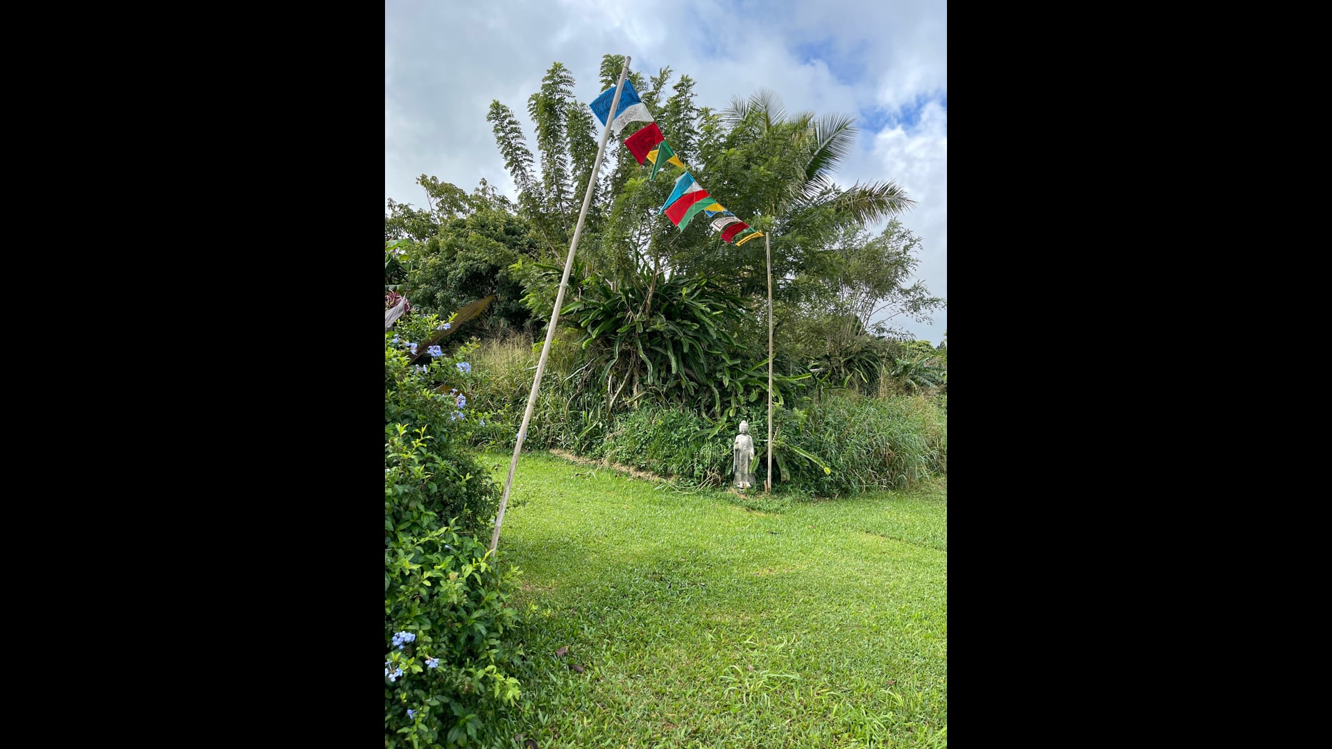 2024 December 4: Moments of Joy: On and Off the Cushion