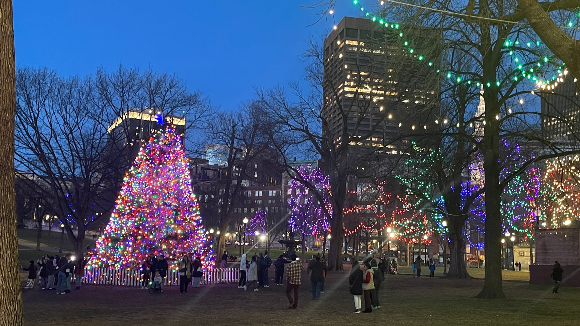 2024 December 16: Evoking Joy