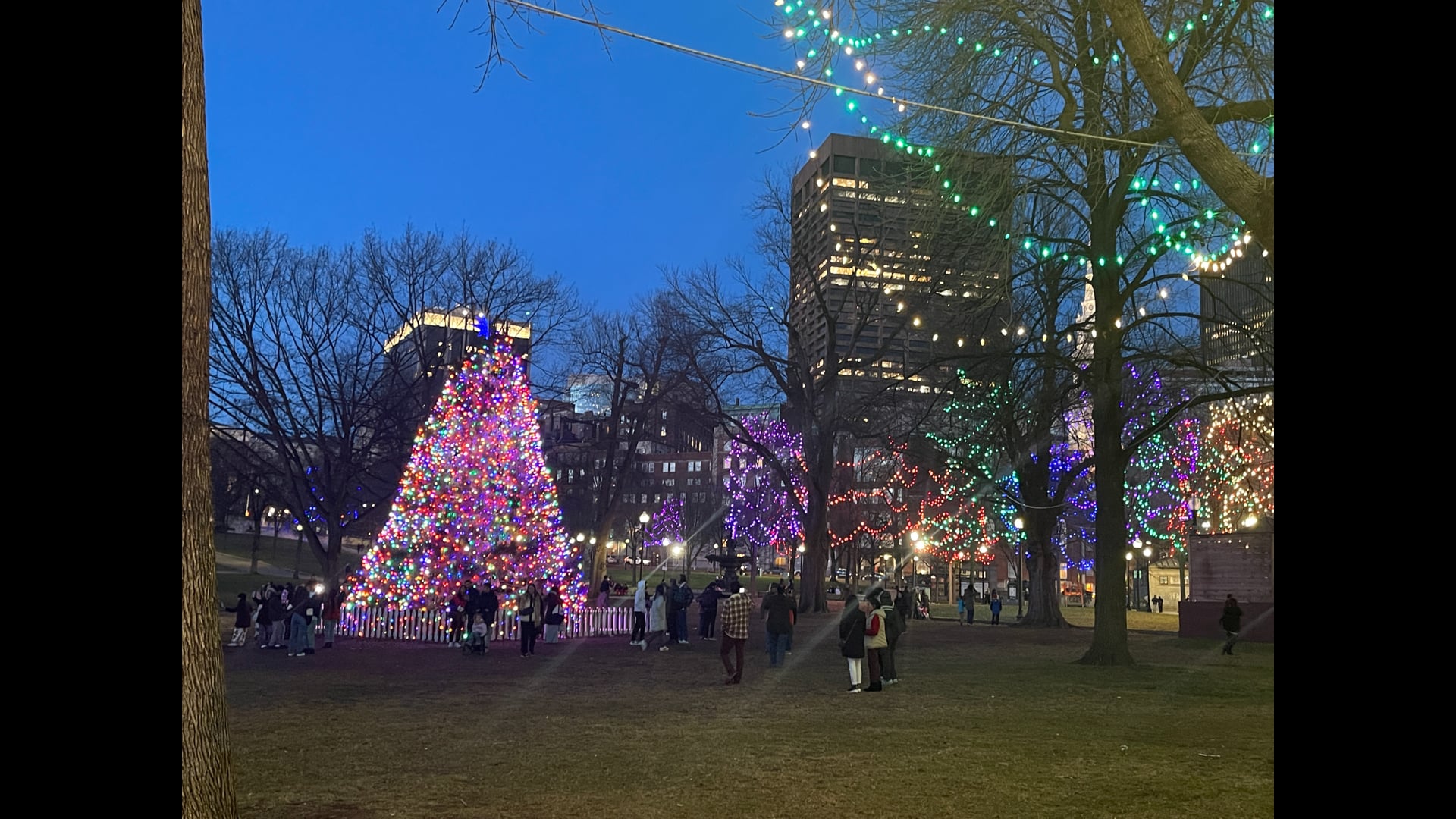 2024 December 16: Evoking Joy