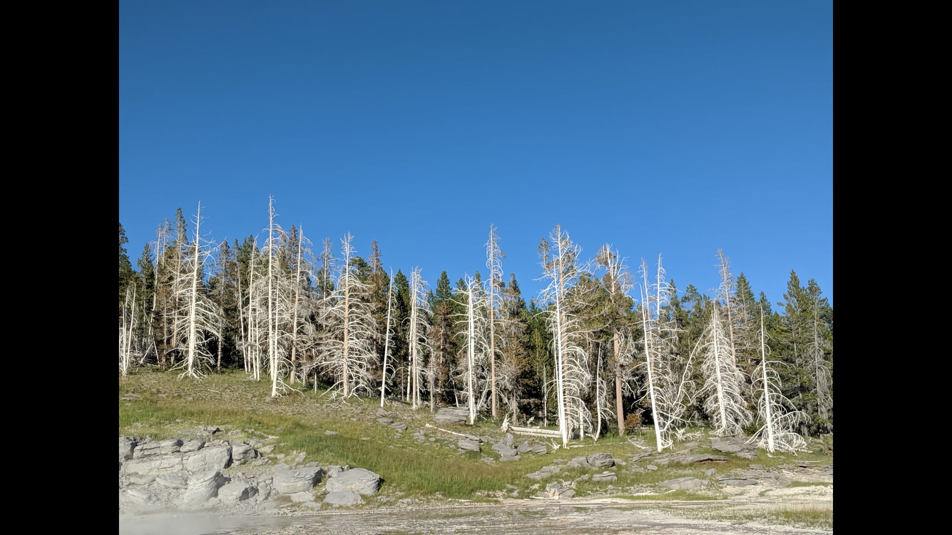 2024 December 18: Two Kinds of Joy – Savor the Flavor