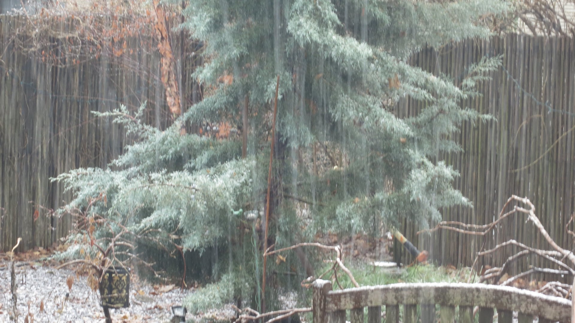 2024 December 23: Resistance to Joy