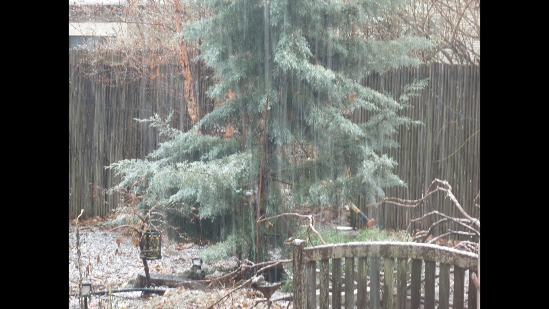 2024 December 23: Resistance to Joy