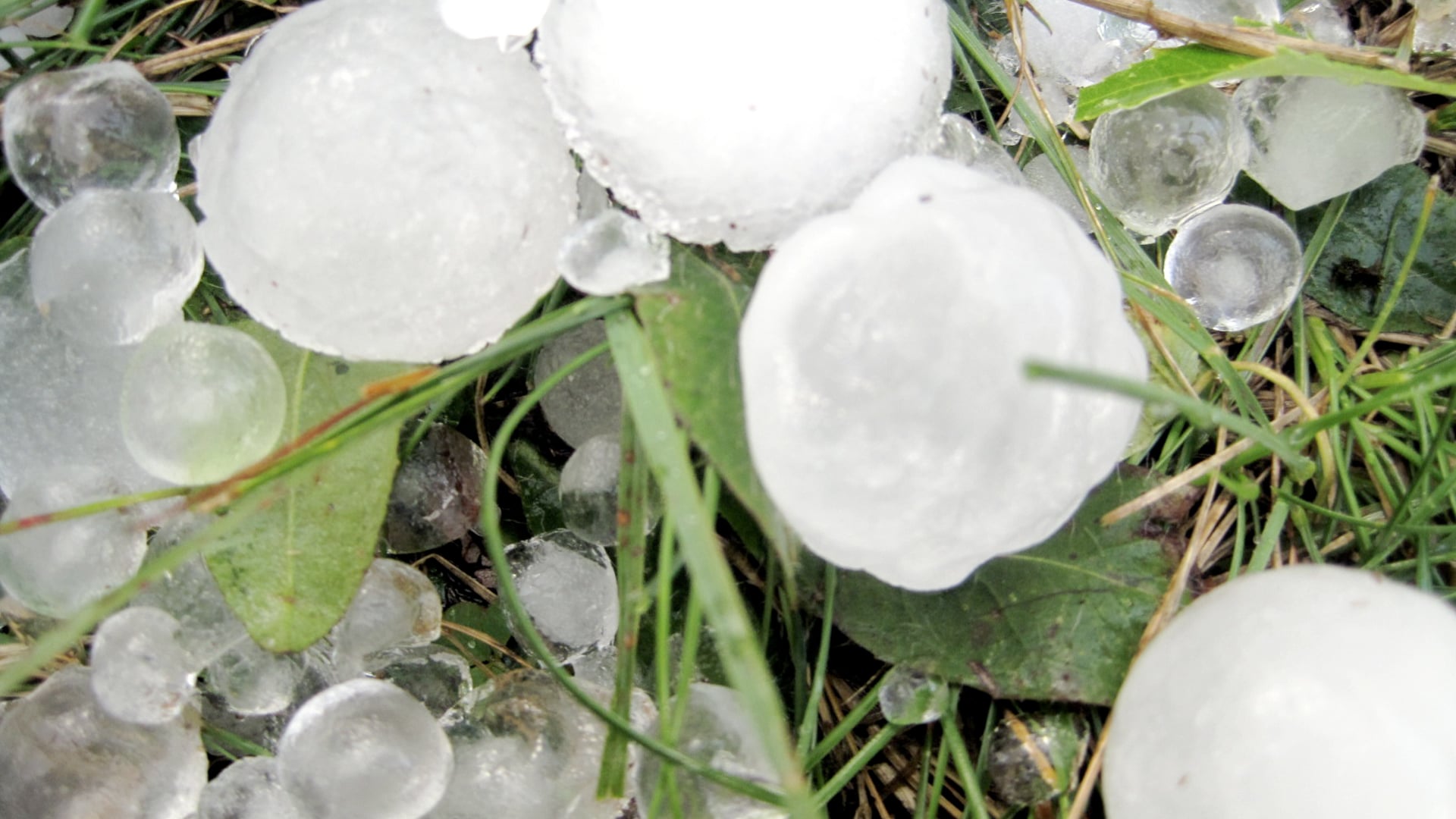 2024 December 25: The Joy of Receiving