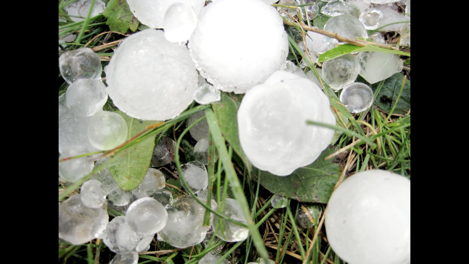 2024 December 25: The Joy of Receiving