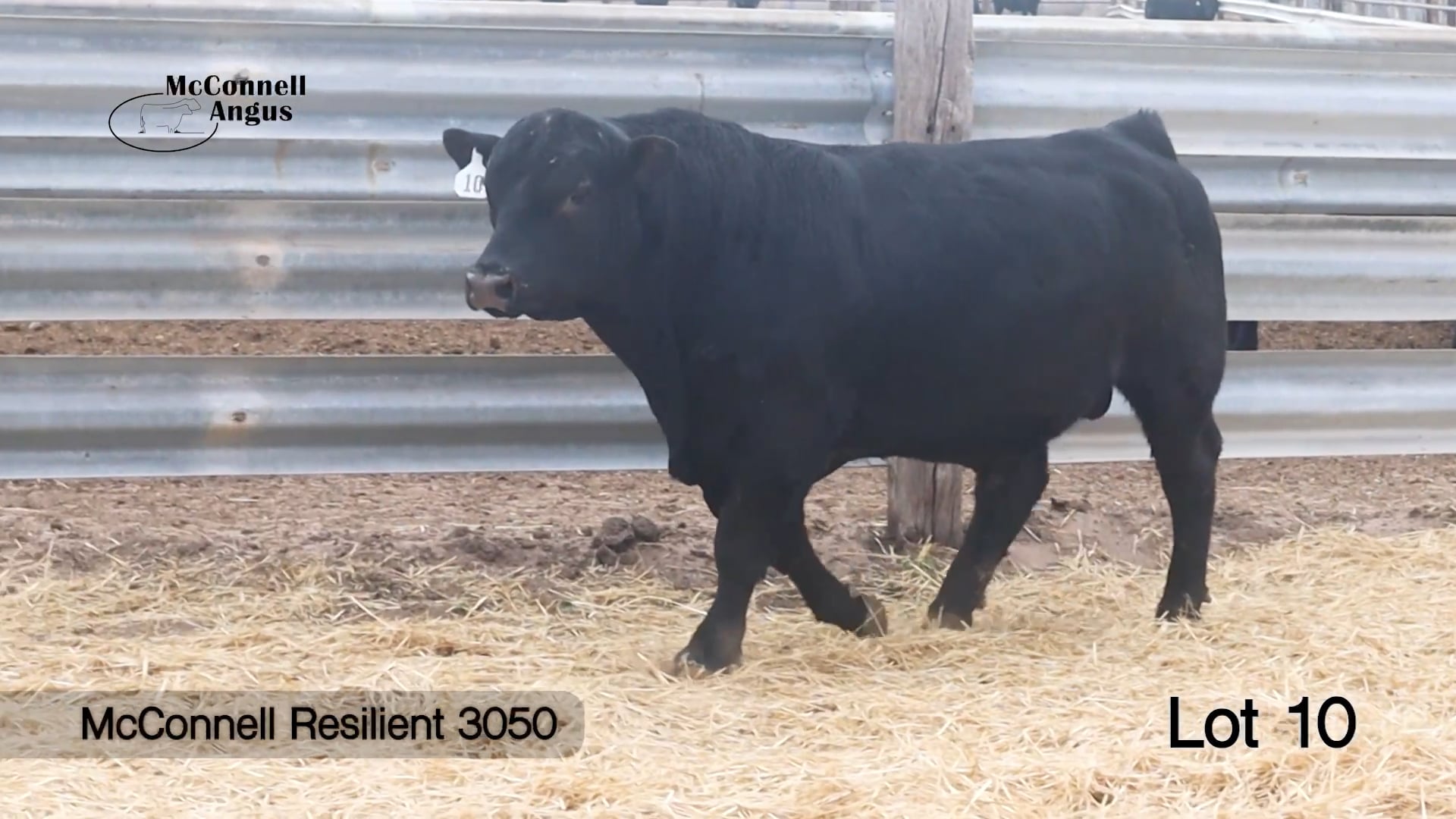 Lot 10 McConnell Resilient 3050