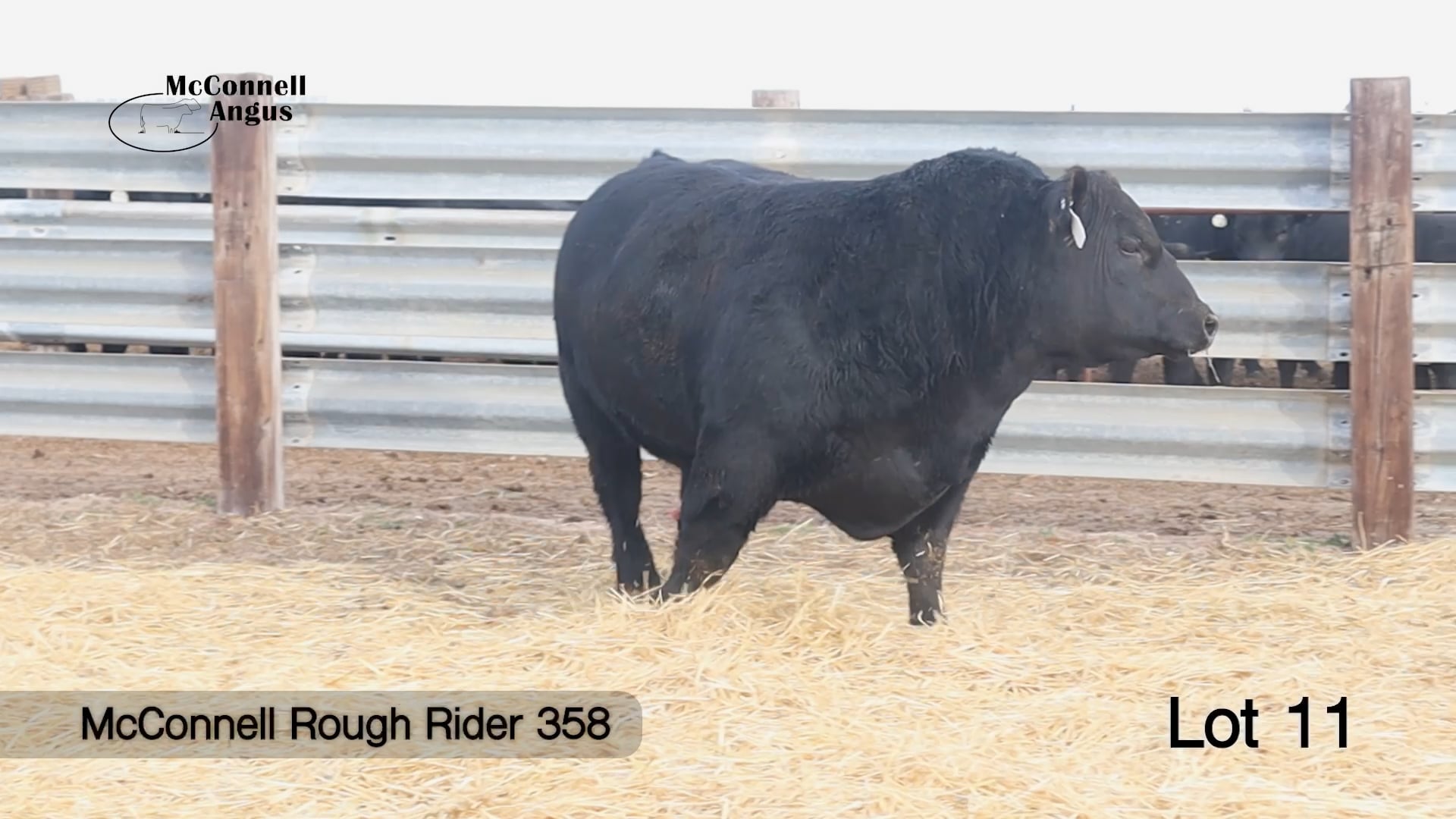 Lot 11 Rough Rider 358