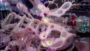 Cyberdelia Sentience