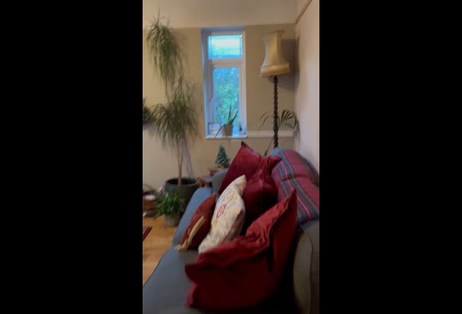 Video 1: