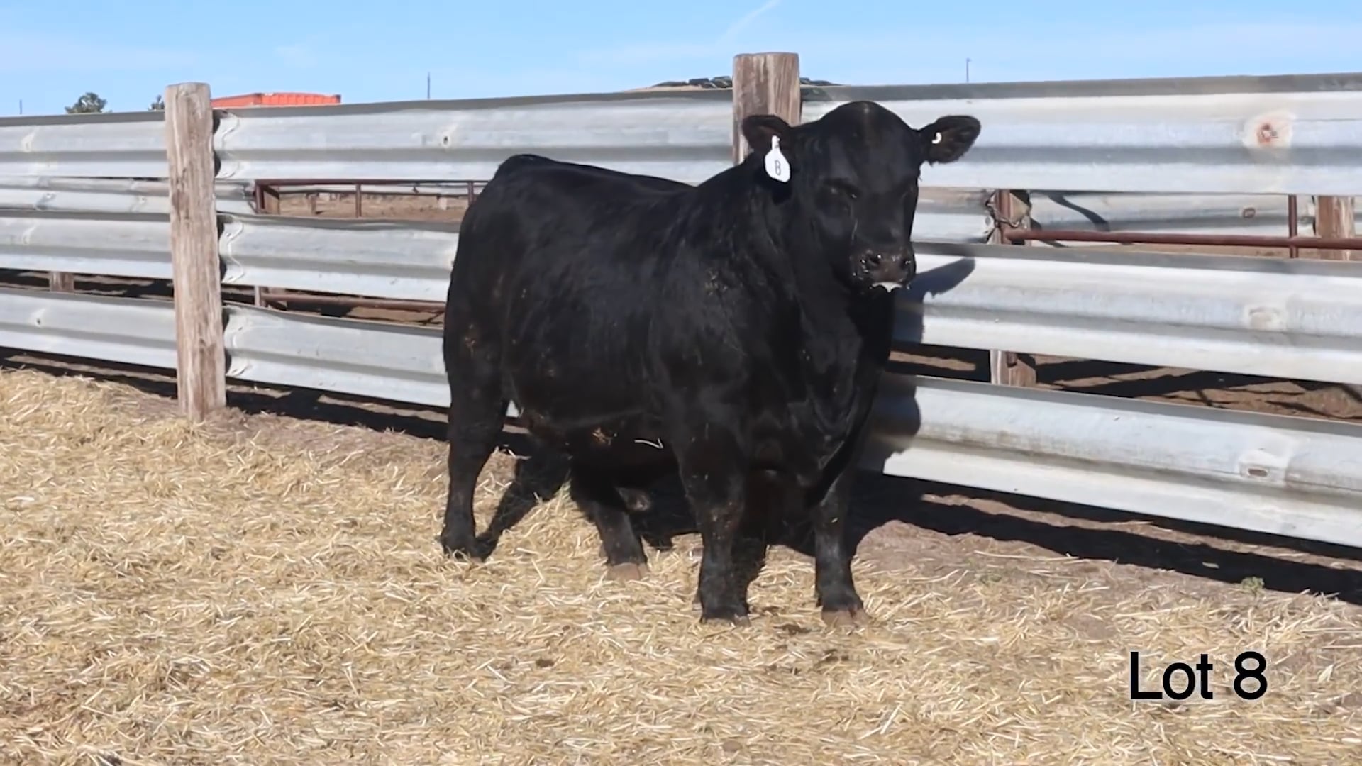 Lot 8 McConnell Bronco 3586