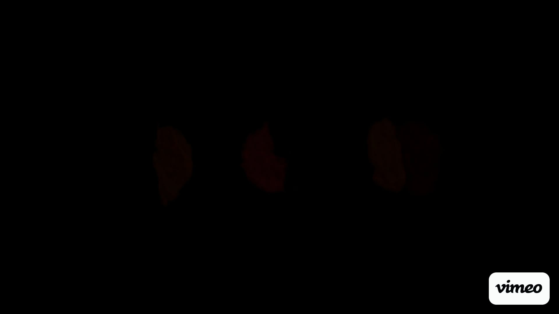 https://i.vimeocdn.com/video/1965647657-29dfd3331edfd11da7344165bf7e82384394d6d3249be4b09764bbbc67ab94fb-d