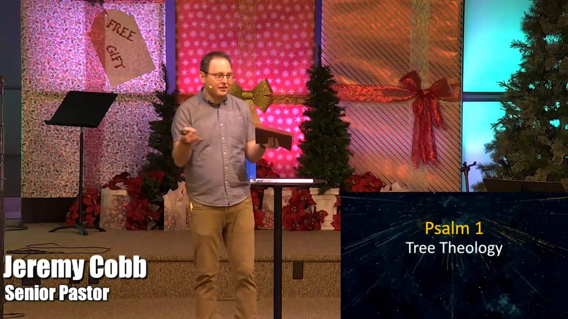 Sunday Sermon | Tree Theology | 12.29.2024