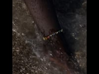 89.mov