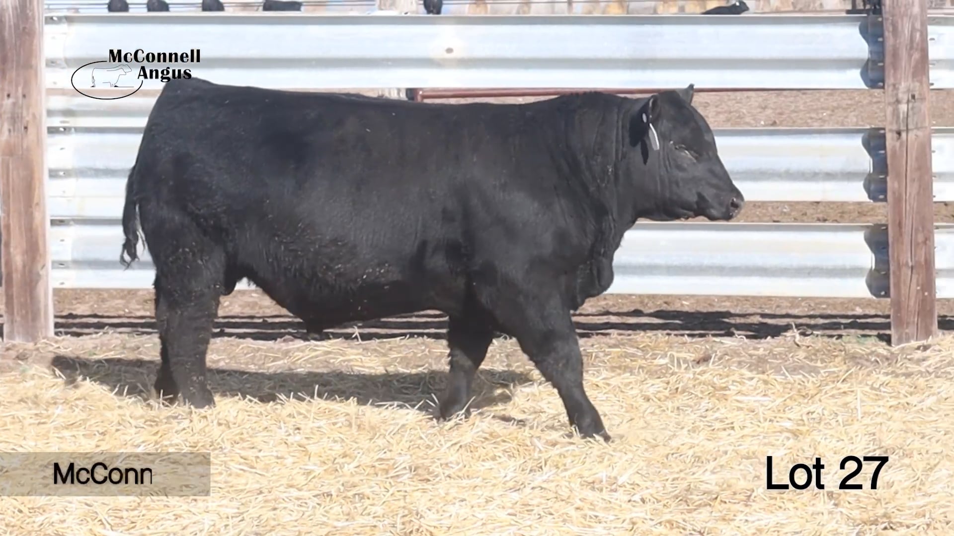 Lot 27 McConnell Craftsman 456M