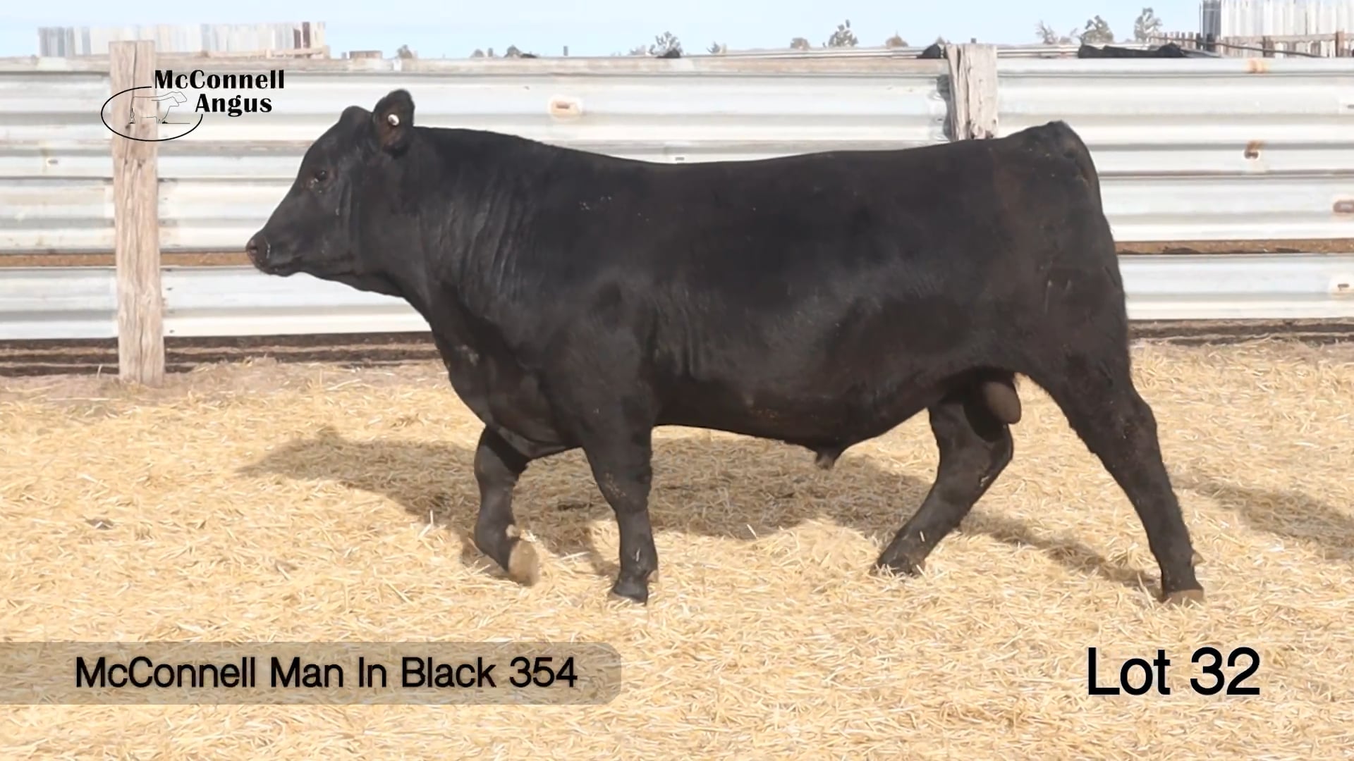 Lot 32 McConnell Man In Black 354