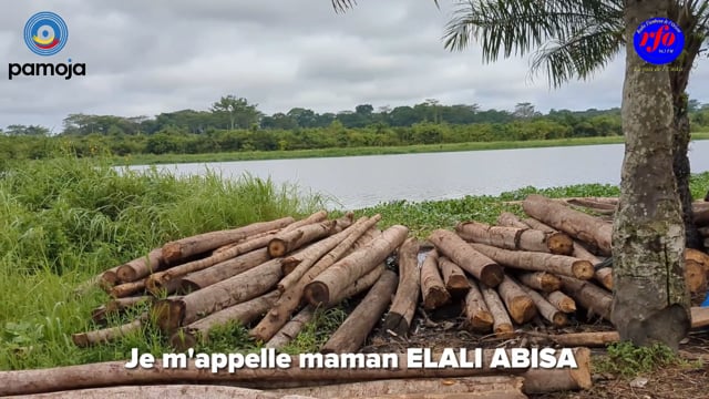 Afflux des femmes dans le secteur de l&rsquo;exploitation artisanale de bois