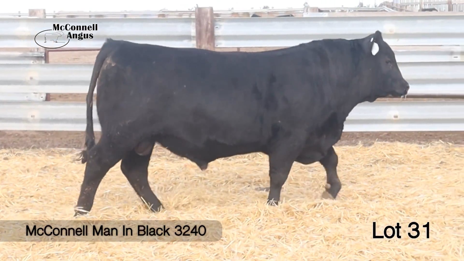 Lot 31 McConnell Man In Black 3240