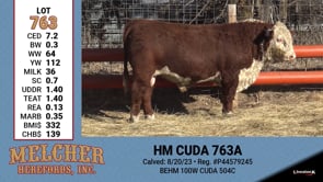 Lot #763 - HM CUDA 763A