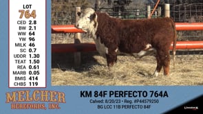 Lot #764 - KM 84F PERFECTO 764A