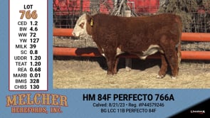 Lot #766 - HM 84F PERFECTO 766A