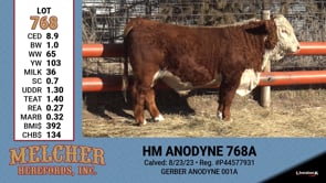 Lot #768 - HM ANODYNE 768A