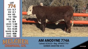Lot #774 - AM ANODYNE 774A