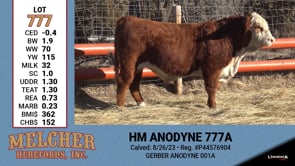 Lot #777 - HM ANODYNE 777A