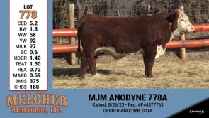 Lot #778 - MJM ANODYNE 778A