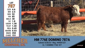 Lot #787 - HM 776E DOMINO 787A