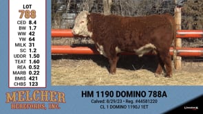 Lot #788 - HM 1190 DOMINO 788A