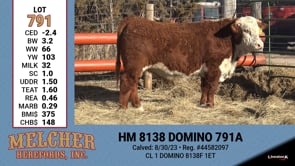 Lot #791 - HM 8138 DOMINO 791A