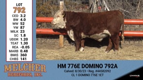 Lot #792 - HM 776E DOMINO 792A