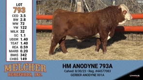 Lot #793 - HM ANODYNE 793A