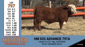 Lot #797 - HM 033 ADVANCE 797A