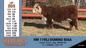Lot #806 - HM 1190J DOMINO 806A