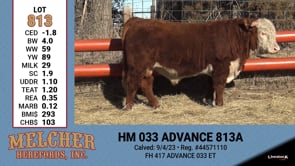 Lot #813 - HM 033 ADVANCE 813A