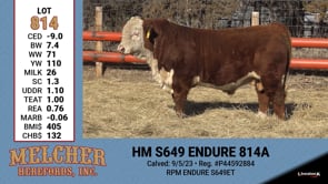 Lot #814 - HM S649 ENDURE 814A