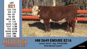Lot #821 - HM S649 ENDURE 821A
