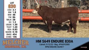 Lot #830 - HM S649 ENDURE 830A