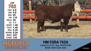 Lot #762 - HM CUDA 762A