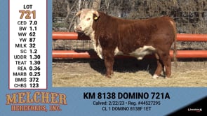 Lot #721 - KM 8138 DOMINO 721A