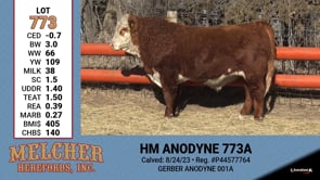 Lot #773 - HM ANODYNE 773A