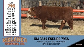 Lot #795 - KM S649 ENDURE 795A