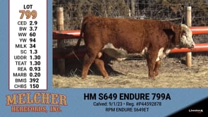 Lot #799 - HM S649 ENDURE 799A